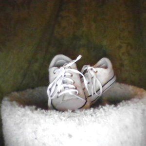 CONVERSE ALL STAR -Starry Limited Time Converse- <Size Five> (Used)